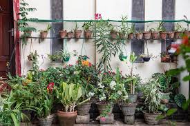 Damac Tenora Dubai South  Fully Furnished Apartments